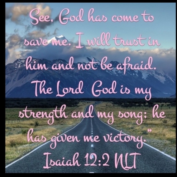 Adorable Pig Farm Apron OSFM - Picture 5 of 16